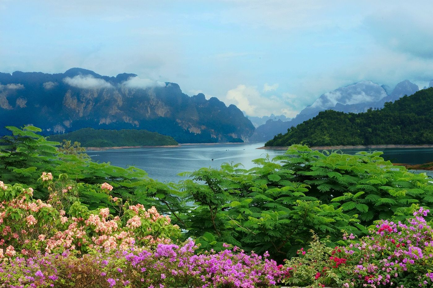Morning mist rising over the forest in Khao Sok National Park