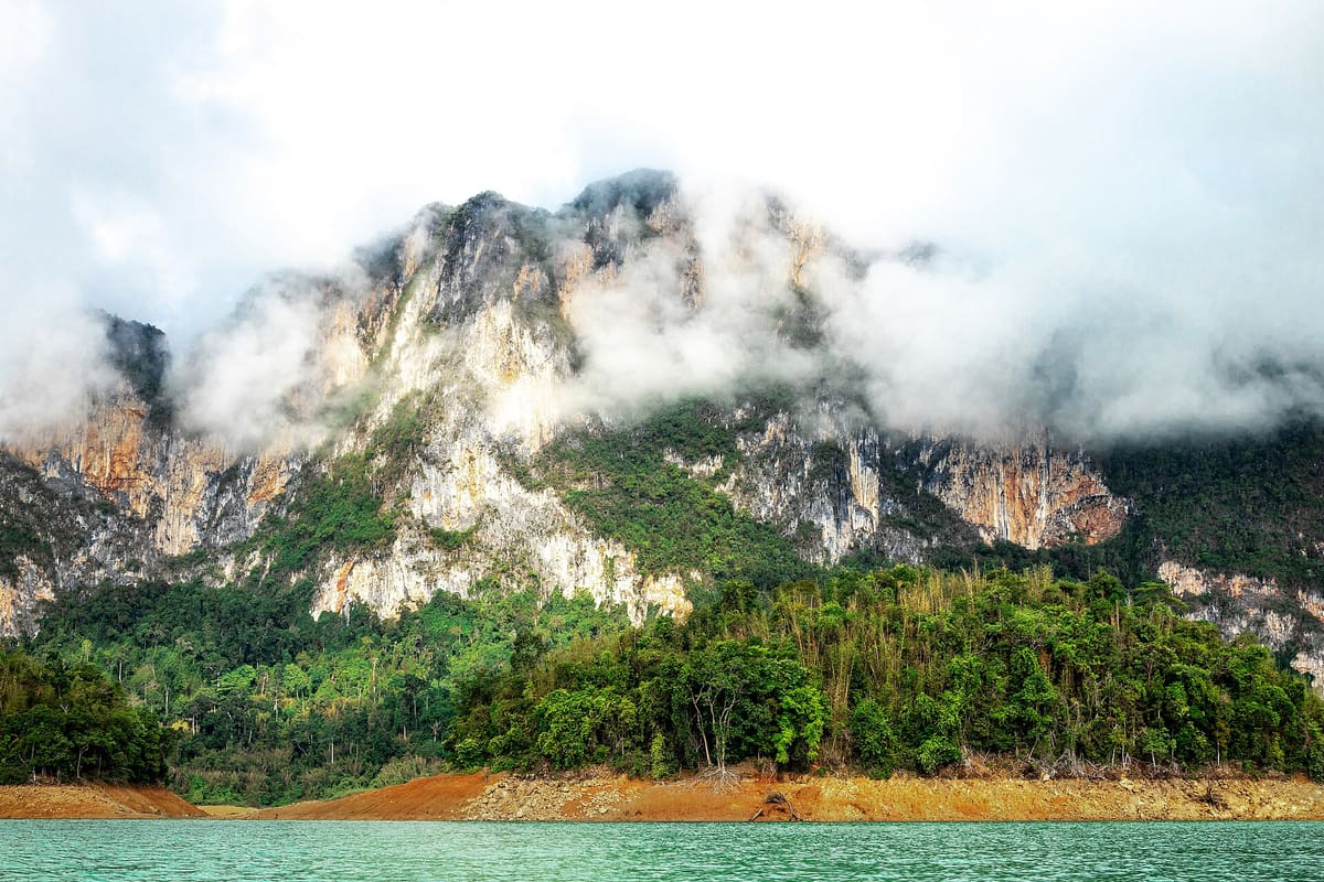 Rainforest in Khao Sok National Park