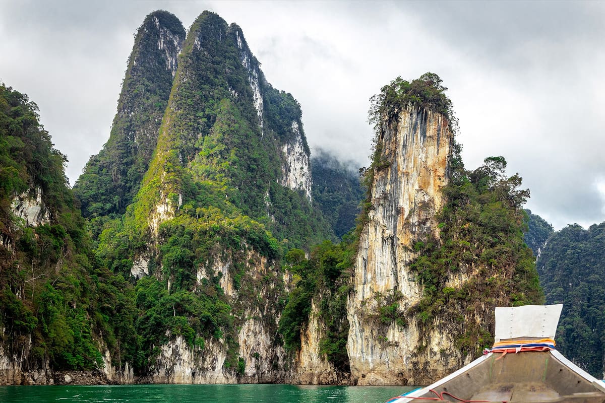 Khao Sok: 2-Hour Night Safari Guided Jungle Walk with Pickup