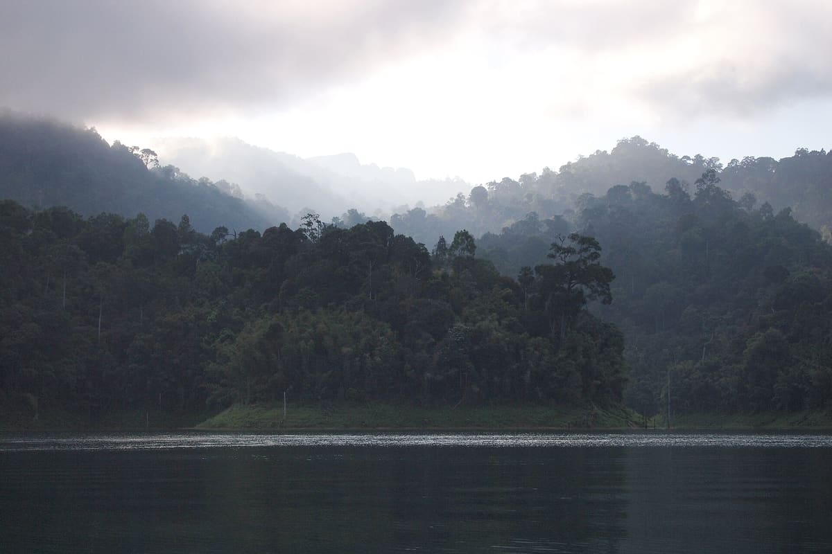 Rainforest around Cheow Lan Lake
