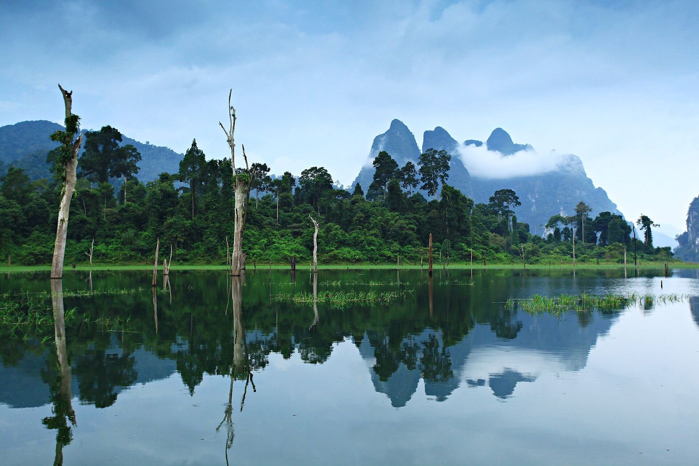 Rain and wet forest in Khao Sok National Park during the wet season