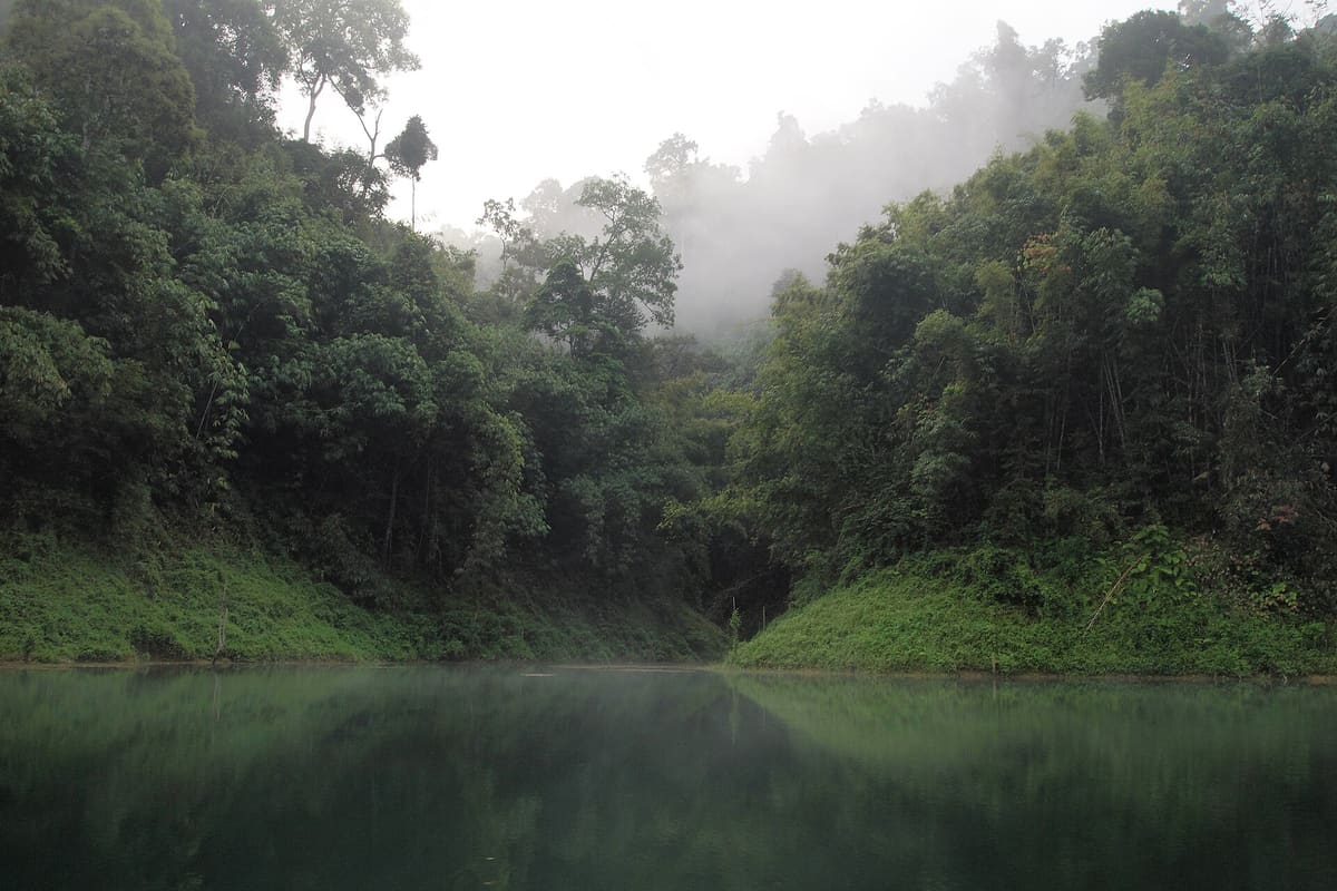 Fog on Cheow Lan Lake above the rainforest