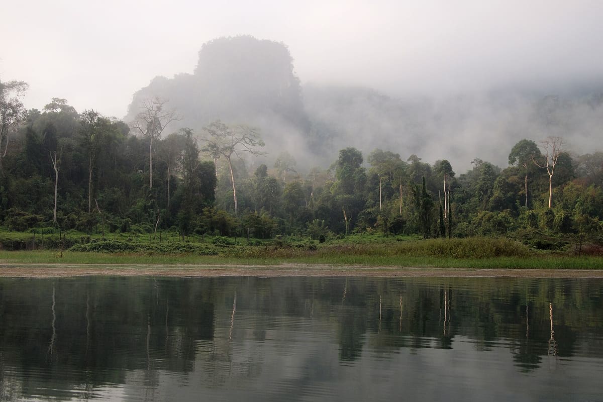 Khao Sok National Park: 3-Day Nature & Jungle Tour at Cheow Lan Lake